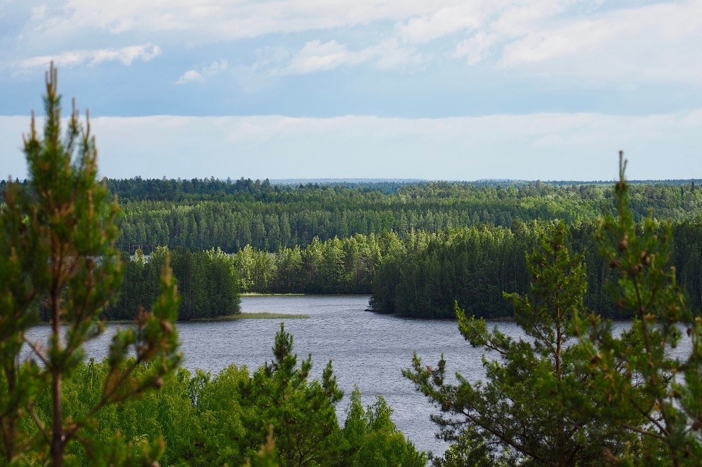 Фото 3 - день 4 Гора Сампо, Марциальные воды, древний вулкан Гирвас и водопад Кивач
