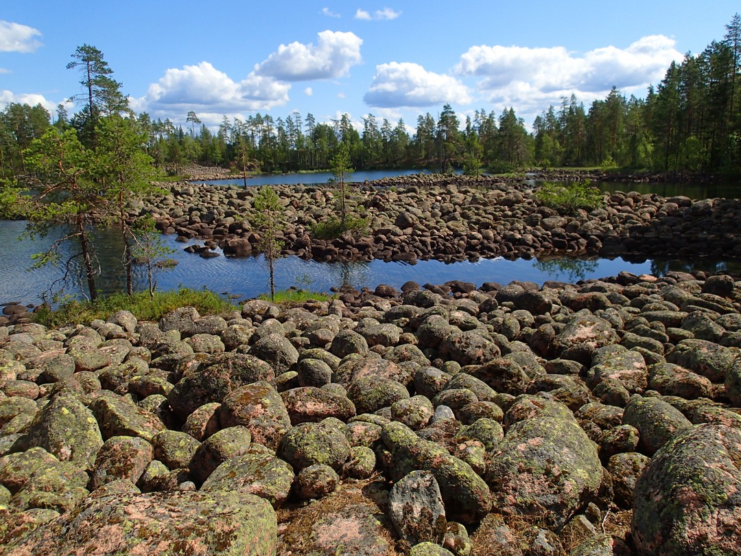 Фото 5 - день 2 Уксинская озовая гряда