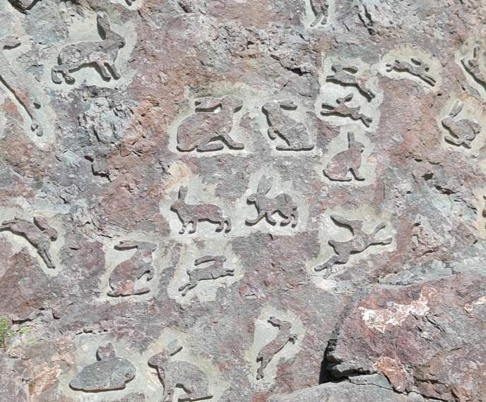 Фото 1 - день 2 Водопад Кивач, Дом шунгита, Долина Зайцев, гора Сампо