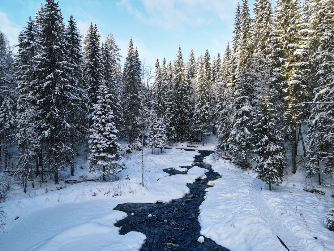 Фото 3 - день 1 Крепость Корела, экопарк «Долина водопадов», музей «Город ангелов» и встреча Нового года