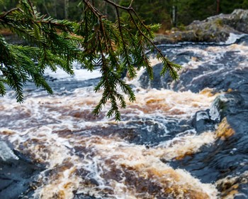 Фото 3 - день 3 Локации на ваш выбор и возвращение в Петрозаводск