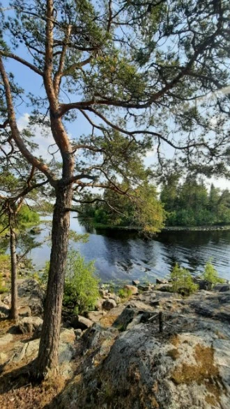 Фото 2 - день 1 Знакомство с Петрозаводском, переезд на берег Ладоги, экскурсия по заповедным местам