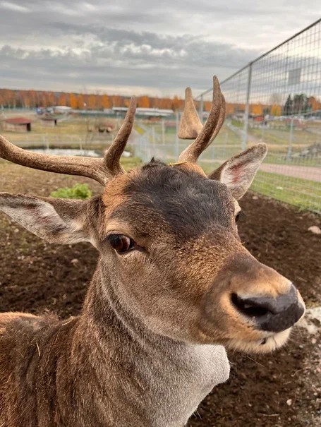 Фото 1 - день 3 Поиск граната, экспедиция к водопадам, посещение зоопарка