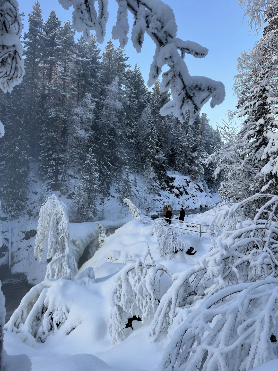 Фото 4 - день 1 Экскурсия по Петрозаводску, гора Сампо и водопад Кивач, поездка в Северное Приладожье