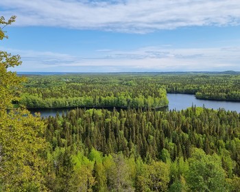 Фото 5 - день 5 Соловецкий монастырь