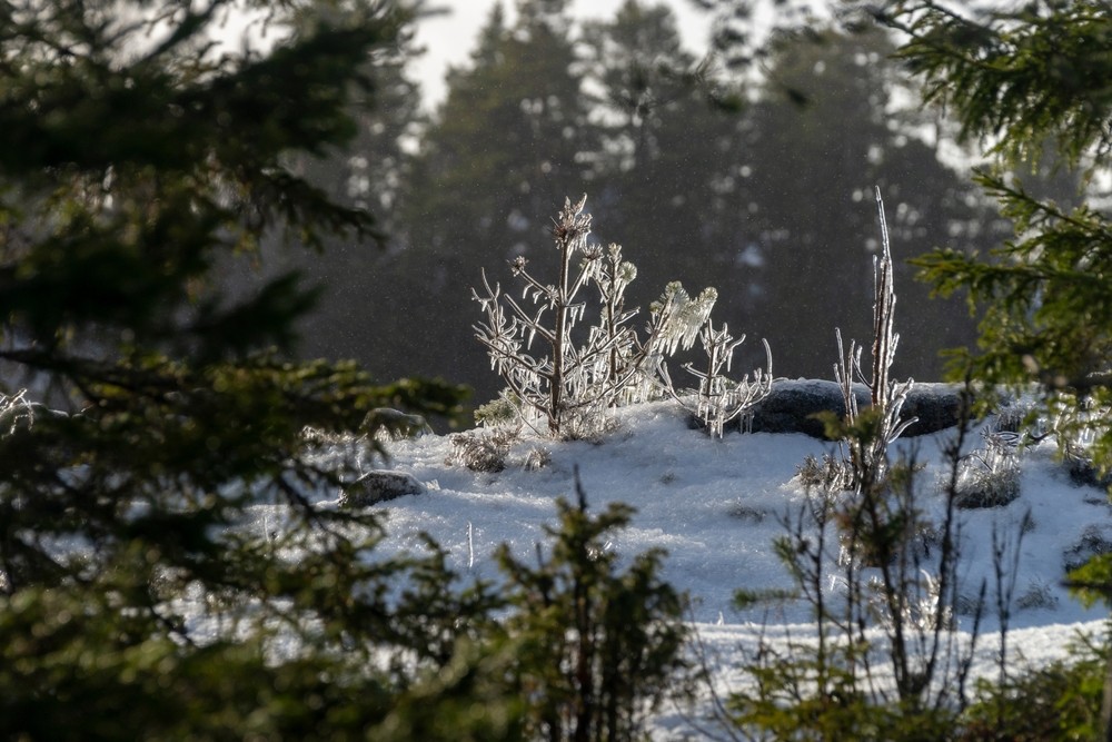 Фото 3 - день 2 Валаам, шхеры Ладоги и экскурсия по Сортавале