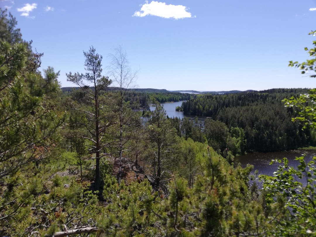 Фото 5 - день 1 Остров Риеккалансаари, Сортавала