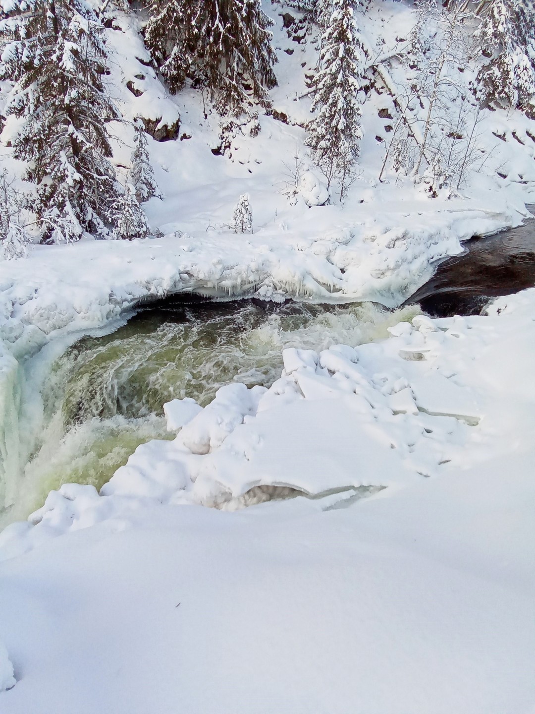 Фото 8 - день 3 Водопад Кивач, древний вулкан Гирвас, Марциальные воды и Долина зайцев