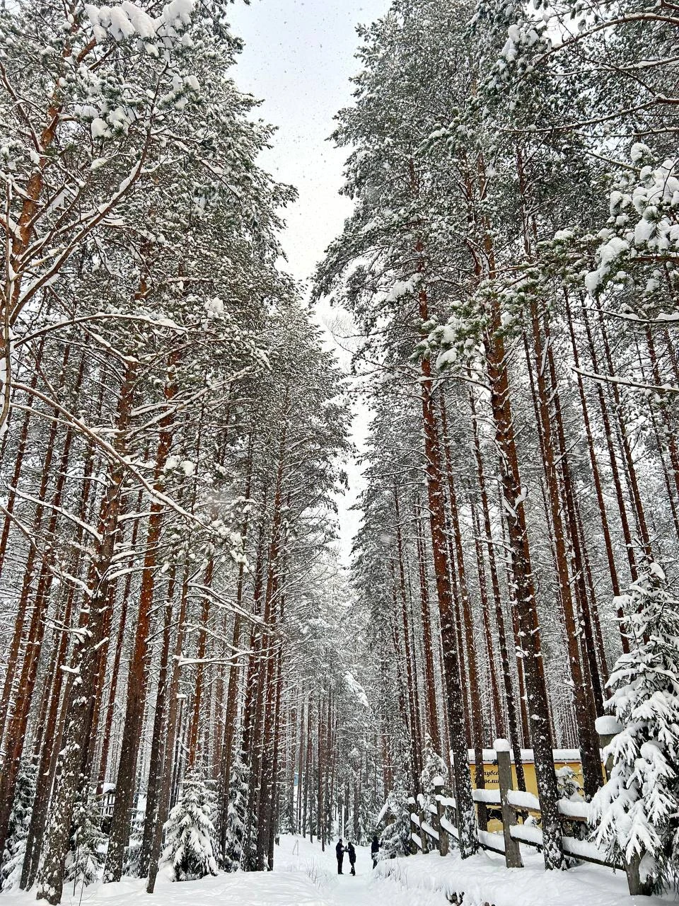 Фото 9 - день 3 Горный парк «Рускеала», Рускеальские водопады, гора Паасо