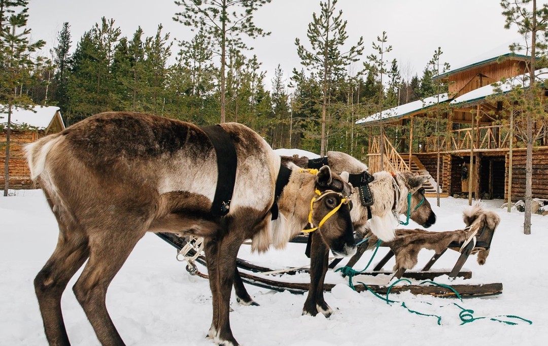 Фото 1 - день 1 Заповедник «Кивач», вотчина Талви Укко, интерактив в Киндасово