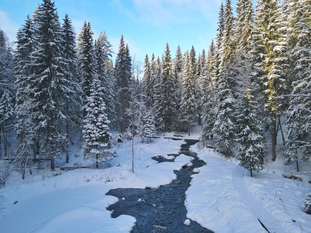 Фото 1 - день 4 Исторический парк «Бастионъ», экопарк «Долина водопадов», посещение музеев