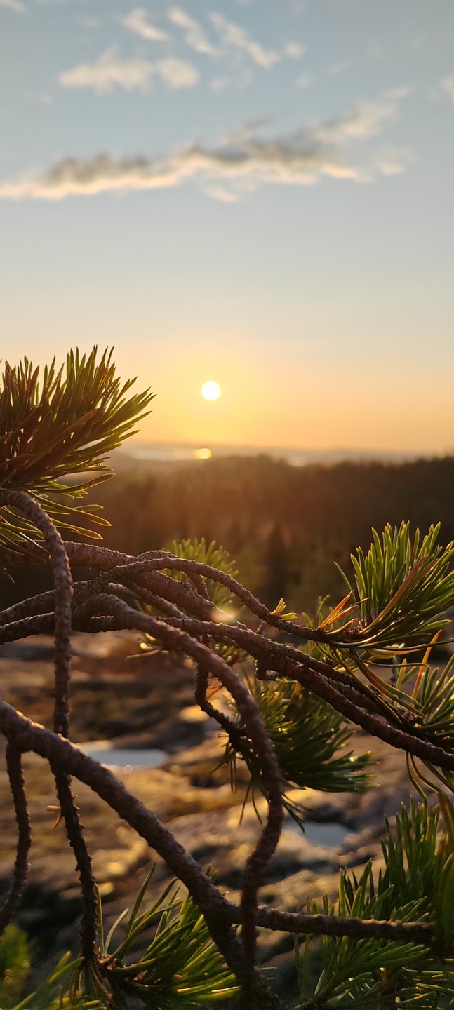 Фото 2 - день 3 Питкяранский район: наполнение и восстановление