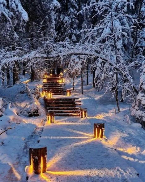 Фото 5 - день 3 Горный парк «Рускеала», водопады Ахинкоски, питомник хаски, гора Паасонвуори