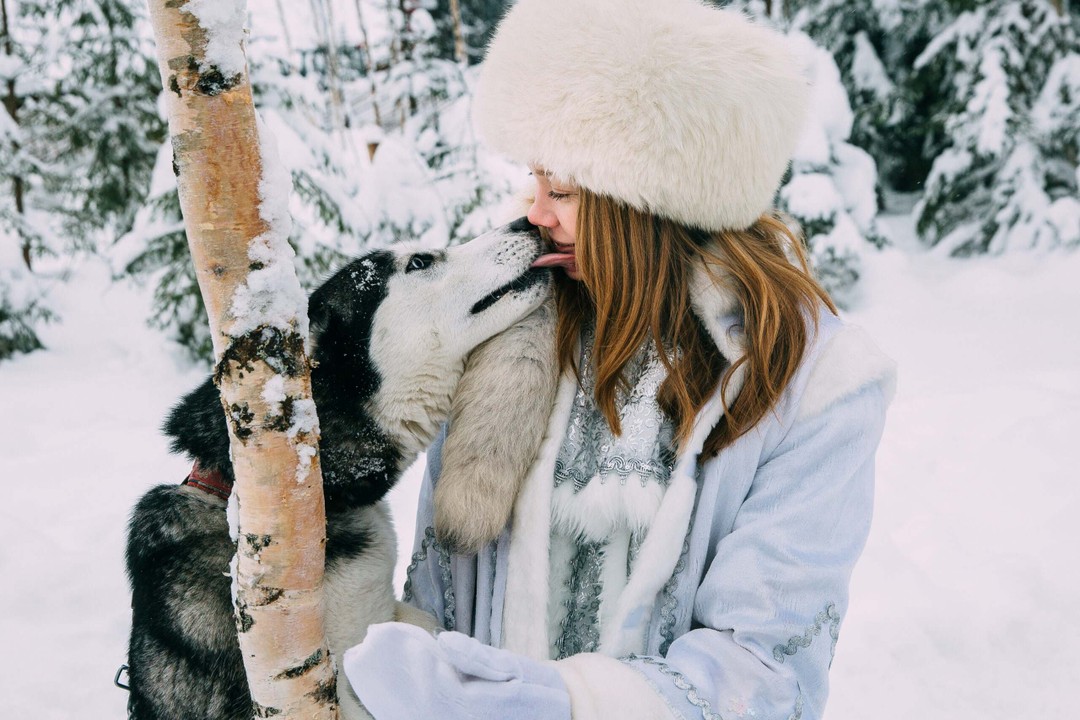 Фото 5 - день 4 Вотчина Талви Укко, питомник хаски и ферма северных оленей