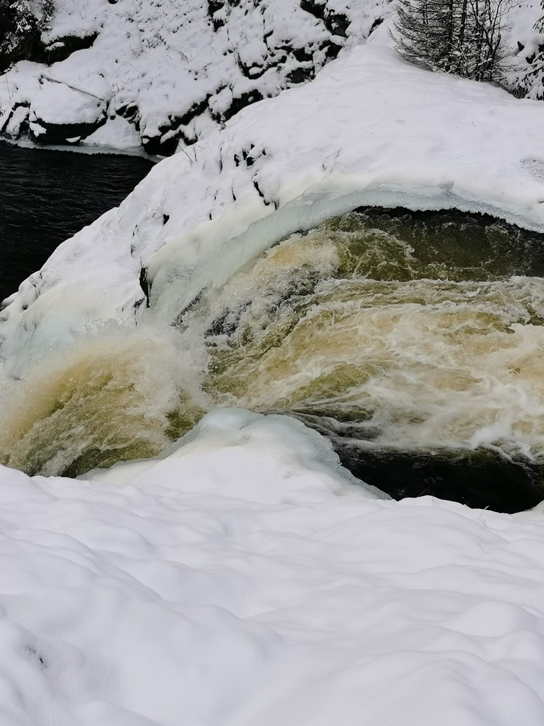 Фото 2 - день 1 Кивач и Заонежские деревни