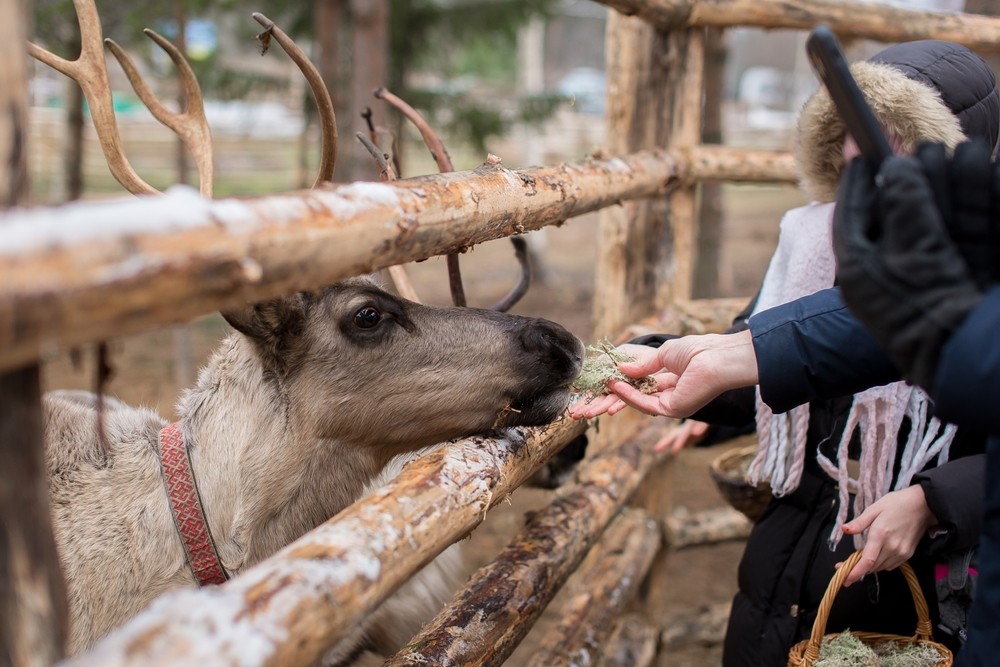 Фото 1 - день 3 Городище Паасо и «Долина водопадов»
