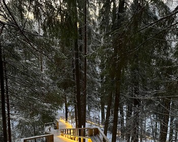 Фото 10 - день 2 Гора Паасо, музей «Город ангелов», прогулка по «Долине водопадов»