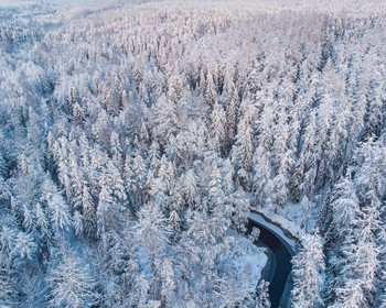 Фото 6 - день 1 Ладожские шхеры на катере-амфибии, собачьи упряжки и экскурсия по Сортавале
