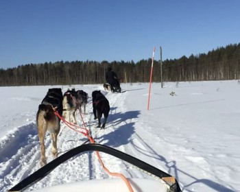 Фото 1 - день 1 Петрозаводск, карельский Дед Мороз, милые хаски и олени и отдых в акватермальном комплексе отеля