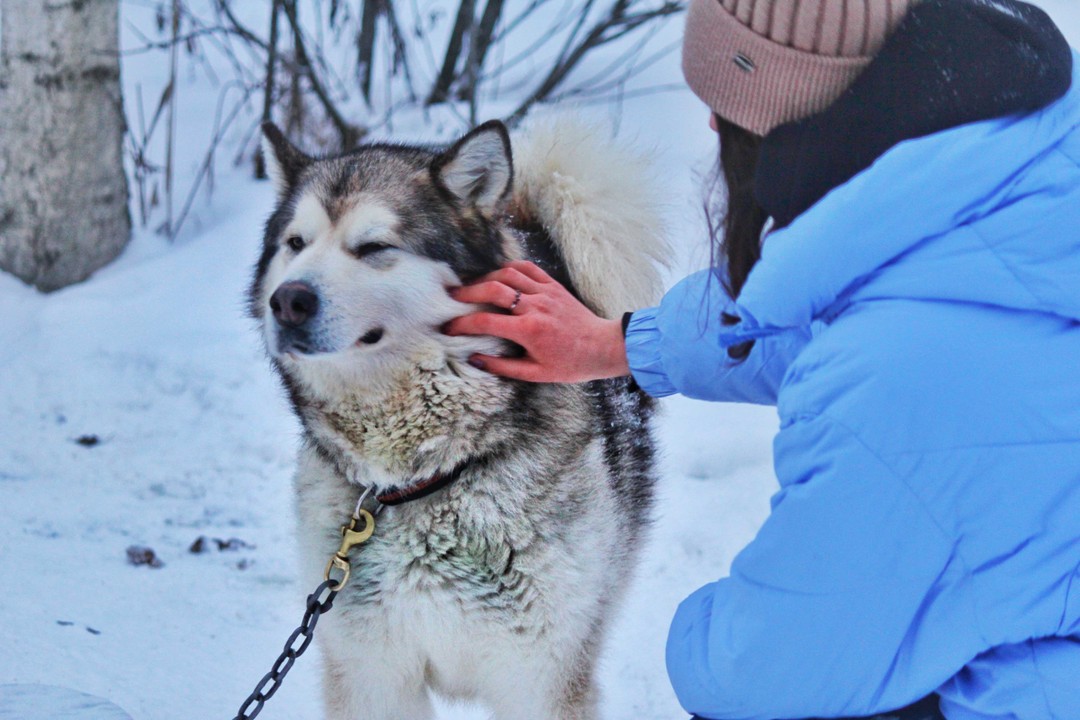 Фото 5 - день 2 Прогулка по заповеднику, посещение резиденции карельского Деда Мороза, размещение в туркомлексе, зимние развлечения, встреча Нового года
