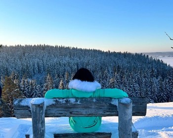 Фото 10 - день 1 Экскурсия по Петрозаводску, гора Сампо и водопад Кивач, поездка в Северное Приладожье