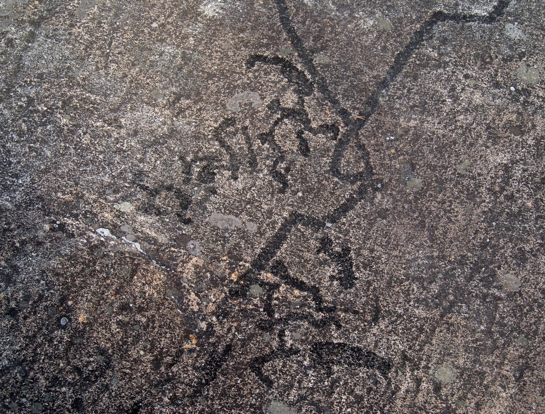 Фото 4 - день 4 Петроглифы Белого моря