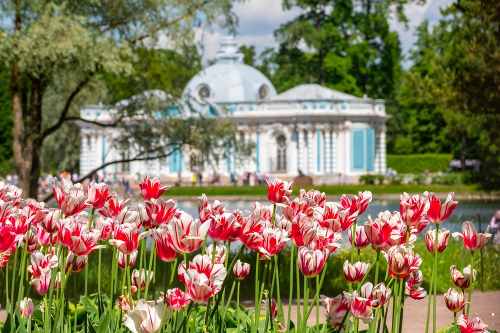 Фото 2 - день 5 Царское Село: Екатерининский дворец, Янтарная комната, парк