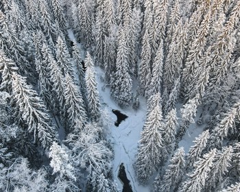 Фото 3 - день 2 Сортавала, интерактивная программа с Дедом Морозом, водопады Ахвенкоски, горный парк «Рускеала»
