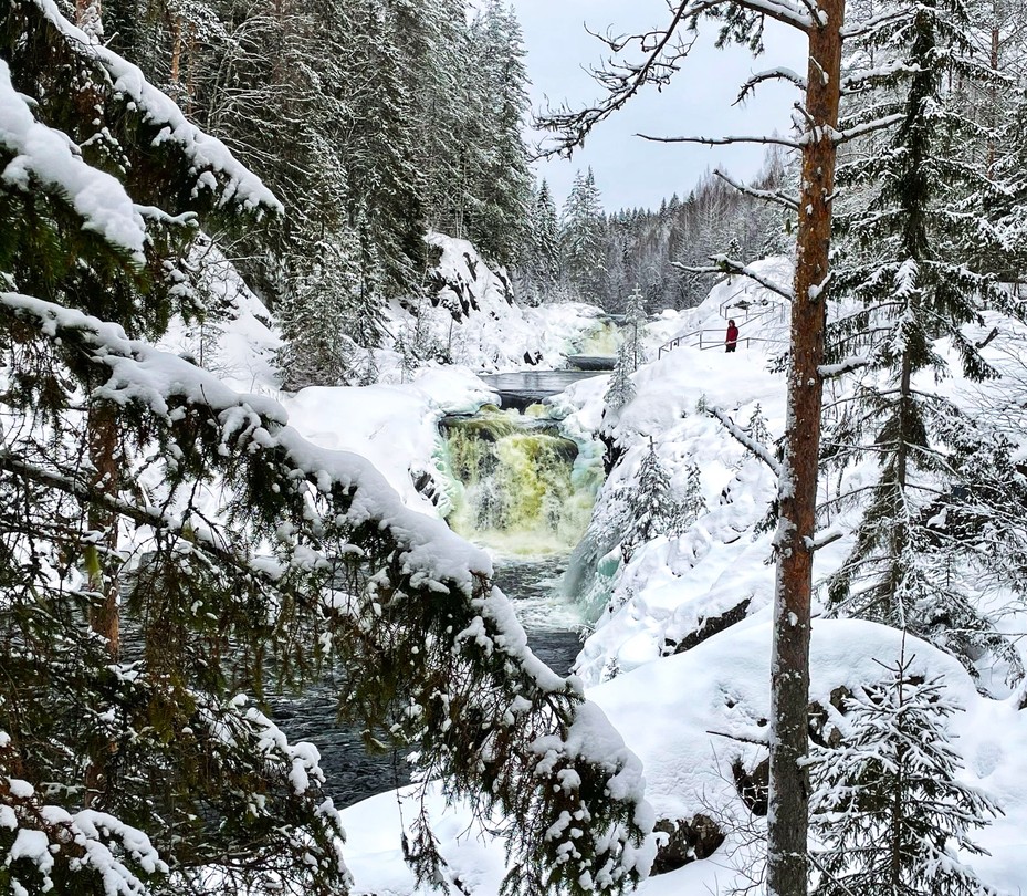 Фото 6 - день 2 Заповедник «Кивач», вотчина Талви Укко, Шунгитовый центр и прогулка по набережной Петрозаводска