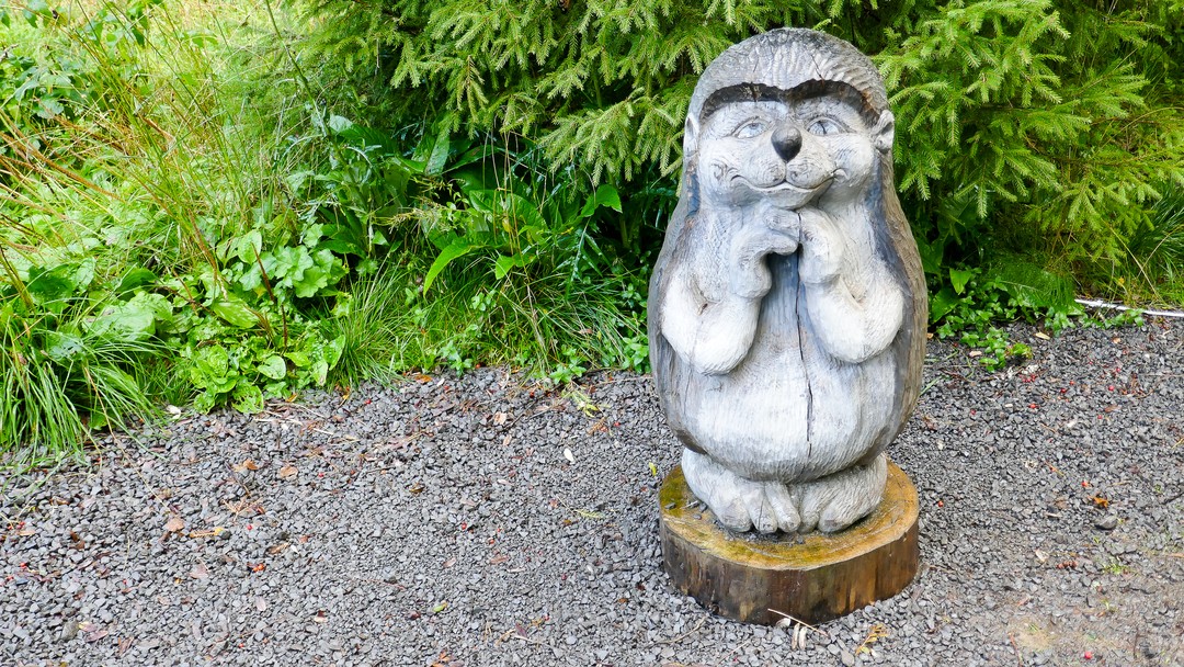 Фото 5 - день 2 Гора Сампо, погружение в культуру, «Марциальные воды» и водопад Кивач