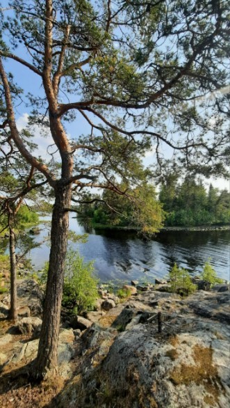 Фото 1 - день 2 Переезд на берег Ладоги, авто-пешеходная экскурсия по заповедным местам