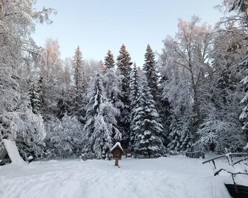 Фото 10 - день 5 Горный парк «Рускеала», водопады Ахинкоски, гора Паасо и отъезд