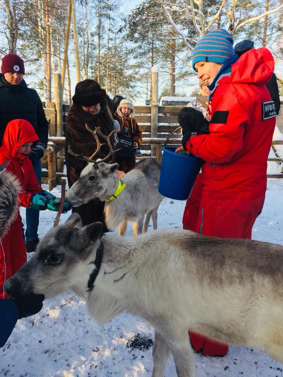 Фото 4 - день 1 Петрозаводск, карельский Дед Мороз, милые хаски и олени и отдых в акватермальном комплексе отеля