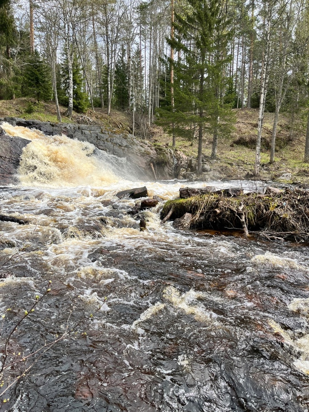 Фото 5 - день 1 Посещение ГЭС и водопадов, свободное время или водная прогулка по Ладожским шхерам Фото 5 - день 1 Посещение ГЭС и водопадов, свободное время или водная прогулка по Ладожским шхерам