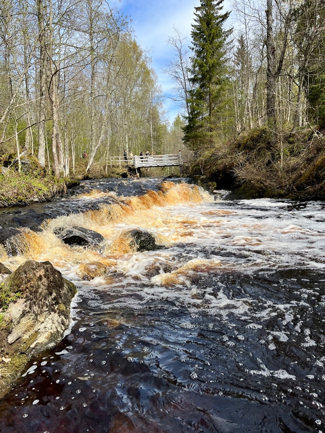 Фото 8 - день 1 Посещение ГЭС и водопадов, свободное время или водная прогулка по Ладожским шхерам Фото 8 - день 1 Посещение ГЭС и водопадов, свободное время или водная прогулка по Ладожским шхерам