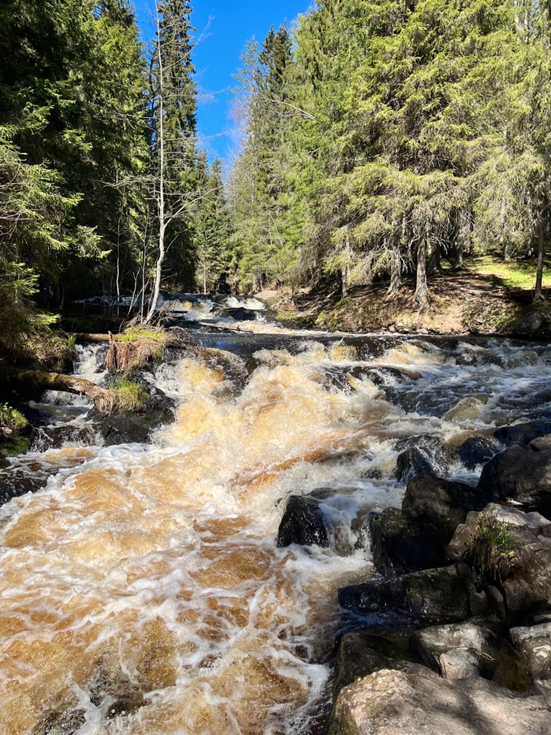 Фото 5 - день 1 Прогулки по карельским экотропам, водопады и фантастические виды рускеальского каньона Фото 5 - день 1 Прогулки по карельским экотропам, водопады и фантастические виды рускеальского каньона