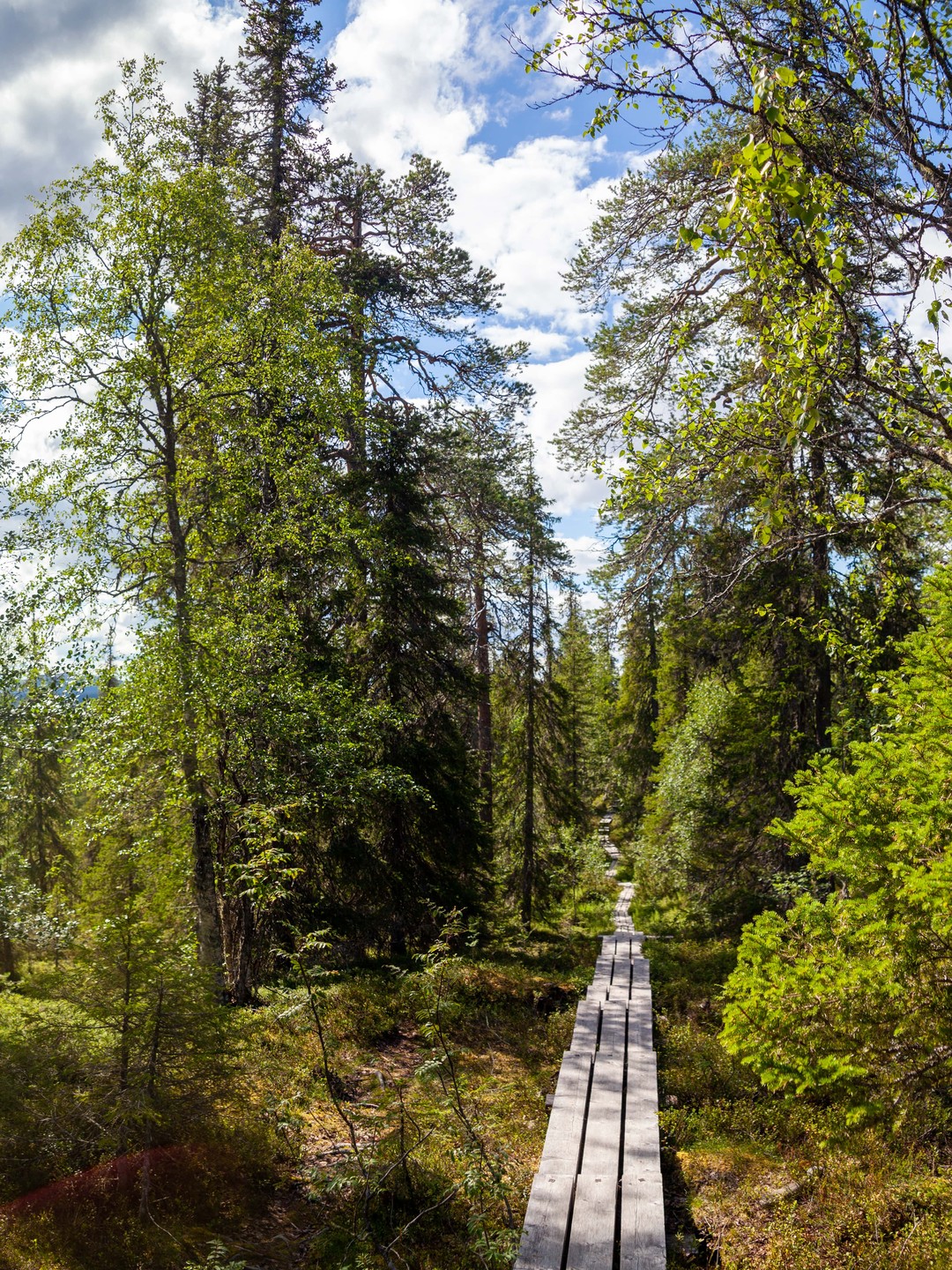 Фото 4 - день 2 Прогулка по озеру Паанаярви на лодке, Красные скалы и финский хутор Фото 4 - день 2 Прогулка по озеру Паанаярви на лодке, Красные скалы и финский хутор