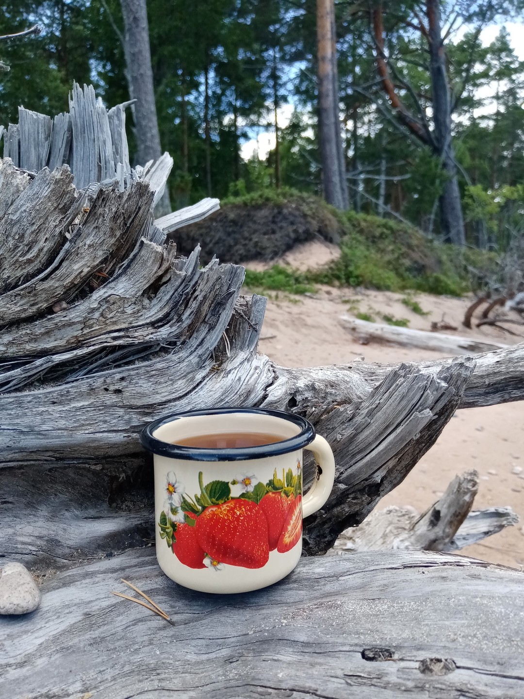 Фото 5 - день 1 Маяк, пикник на природе, карельская кухня и баня у Онежского озера Фото 5 - день 1 Маяк, пикник на природе, карельская кухня и баня у Онежского озера