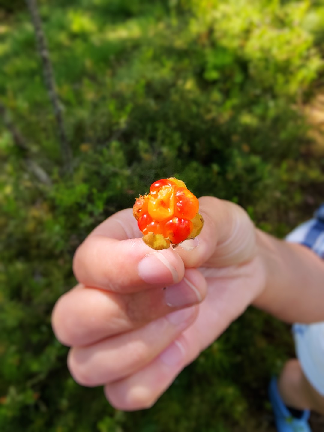 Фото 8 - день 1 Маяк, пикник на природе, карельская кухня и баня у Онежского озера Фото 8 - день 1 Маяк, пикник на природе, карельская кухня и баня у Онежского озера