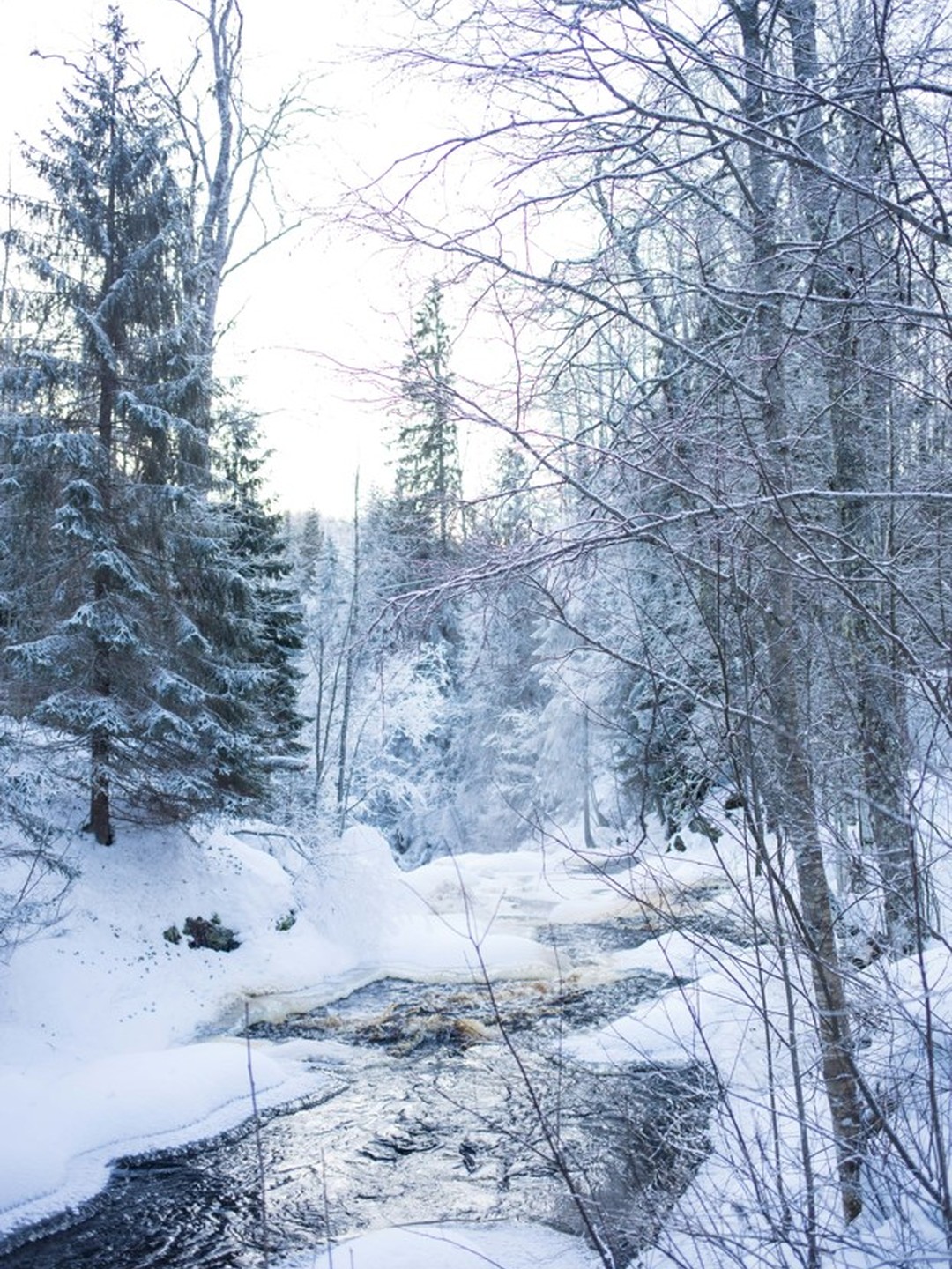 Фото 4 - день 1 Заливы, водопады, добыча граната и подъём на гору Паасо Фото 4 - день 1 Заливы, водопады, добыча граната и подъём на гору Паасо