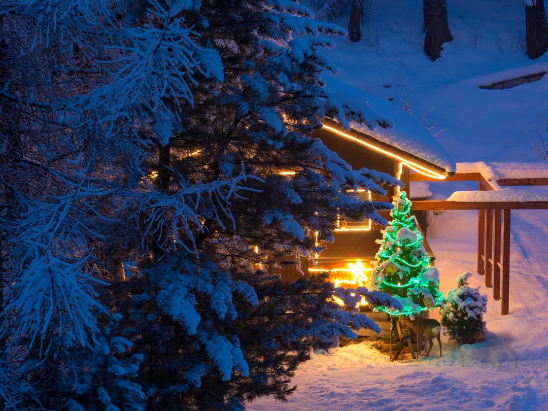Фото 7 - день 1 Прогулка по экопарку, саамская деревня, встреча нового года Фото 7 - день 1 Прогулка по экопарку, саамская деревня, встреча нового года