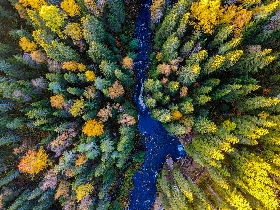 Фото 4 - день 3 Свободное время, экскурсии на выбор Фото 4 - день 3 Свободное время, экскурсии на выбор