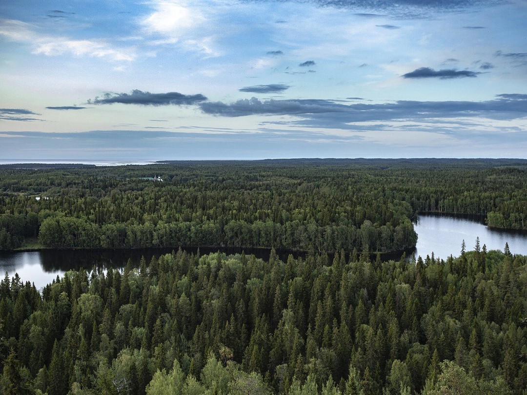 Фото 4 - день 4 Секирная гора, Савватиевский скит и прогулка на лодке Фото 4 - день 4 Секирная гора, Савватиевский скит и прогулка на лодке