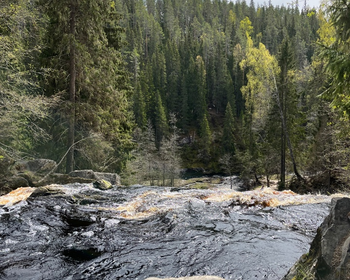 Фото 4 - день 1 Посещение ГЭС и водопадов, свободное время или водная прогулка по Ладожским шхерам