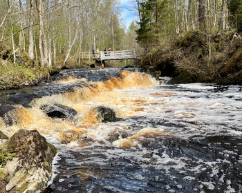 Фото 8 - день 1 Посещение ГЭС и водопадов, свободное время или водная прогулка по Ладожским шхерам