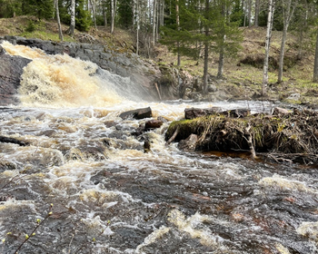 Фото 5 - день 1 Посещение ГЭС и водопадов, свободное время или водная прогулка по Ладожским шхерам
