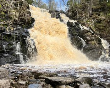 Фото 9 - день 1 Посещение ГЭС и водопадов, свободное время или водная прогулка по Ладожским шхерам