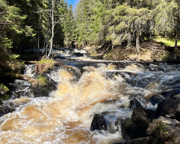 Фото 5 - день 1 Прогулки по карельским экотропам, водопады и фантастические виды рускеальского каньона