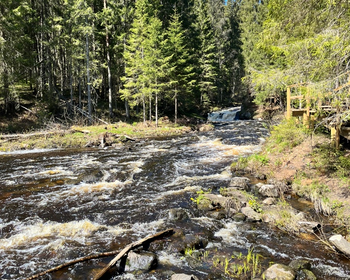 Фото 1 - день 1 Экопарк «Долина водопадов», водопады Ахвенкоски, «Рускеала»